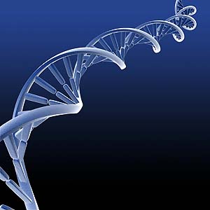 Questionada ligao entre genes e doenas