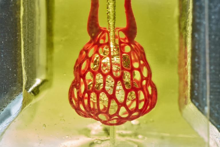 Impresso 3D de rgos vivos vivel com corante alimentar