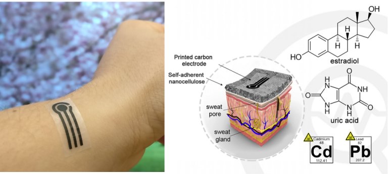 Sensor de material natural monitora sade pela pele