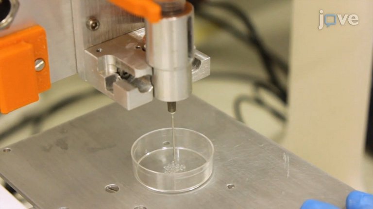 Brasileiras desenvolvem impresso 3D de clulas cerebrais