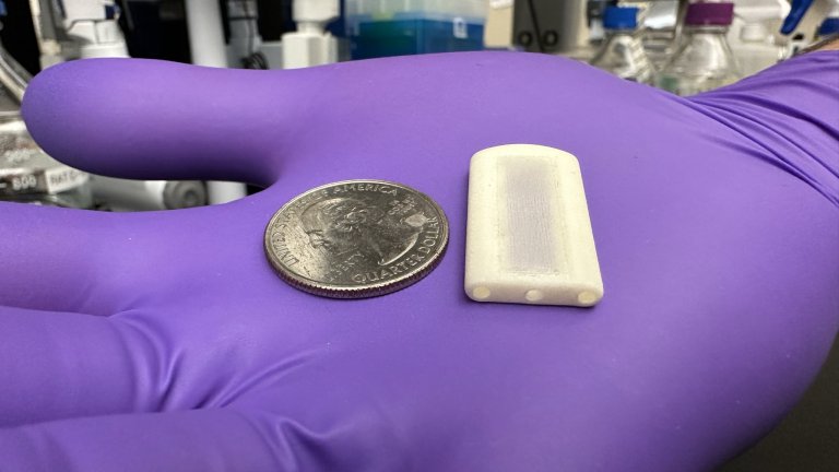 Biochip implantvel funciona como pncreas artificial contra diabetes
