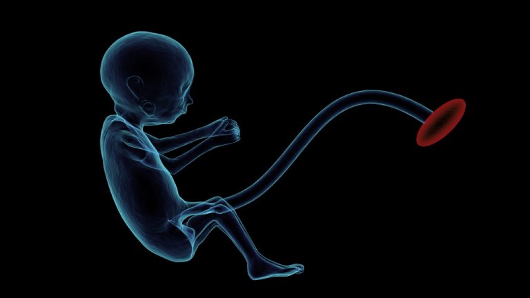 Cientistas desmentem alegaes de que bebs teriam bactrias antes do nascimento