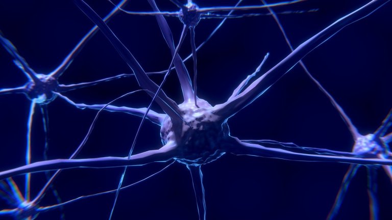 Neurnios do crebro cochicham entre si para manter seus segredos