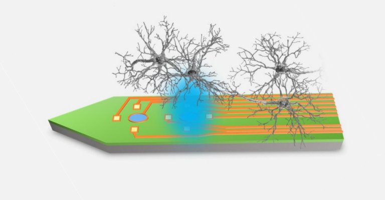 Sonda neural de LED lê e ativa neurônios