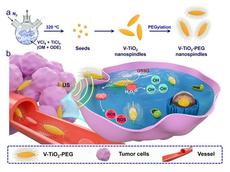 Ultrassom e nanopartculas evitam crescimento de tumores