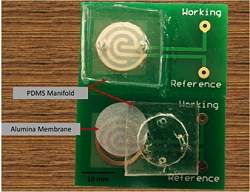 Sensor eletrnico detecta primeiros sinais de Alzheimer e Parkinson