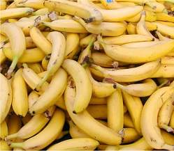 Protena da banana evita transmisso sexual do HIV
