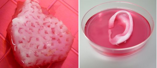 Bioimpressora 3D cria tecidos e rgos artificiais