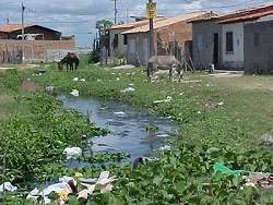 Pesquisas em sade ambiental so feitas por 670 grupos no Brasil