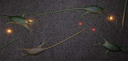 Cérebro artificial: neurônios crescem em nanocelulose
