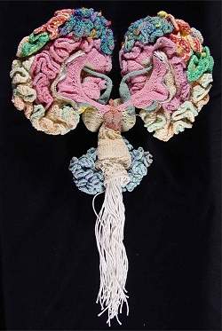 Psiquiatra artes constroi um crebro de tric