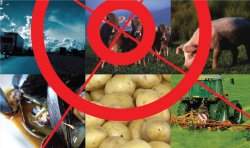 Conferncia mundial discutir segurana dos alimentos geneticamente modificados