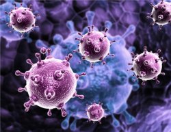 Descoberta linha primária de defesa do sistema imunológico