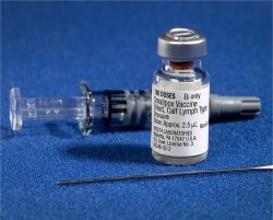 Cientistas recomendam no liberar dados sobre efeitos adversos de vacinas