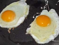 Comer um ovo por dia no aumenta o colesterol