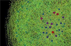Wikipédia permite prever surtos de doenças