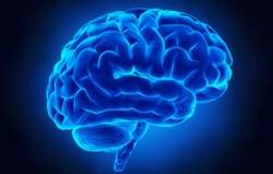 Exame detecta autismo pela atividade cerebral