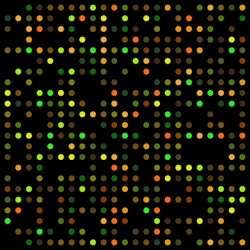 Ferramenta matemtica descobre genes que controlam outros genes