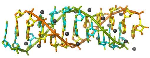 RNA de dupla hélice