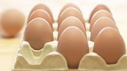 Encontrados resduos de herbicida em ovos comercializados