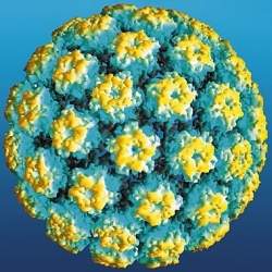 Brasil ganha laboratrio de pesquisas contra o HPV