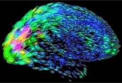 Cientistas desligam neurnios utilizando luz