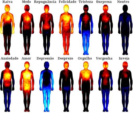Mapa das emoções relaciona área do corpo com cada emoção