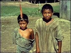 Gripe A atinge ndio de tribo isoladas na amaznia peruana