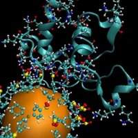 Nanopartículas de ouro transportam medicamentos para tratar o câncer