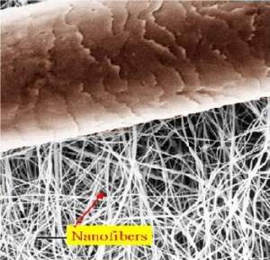 Riscos da nanotecnologia: nanofibras e nanotubos afetam homem e meio ambiente