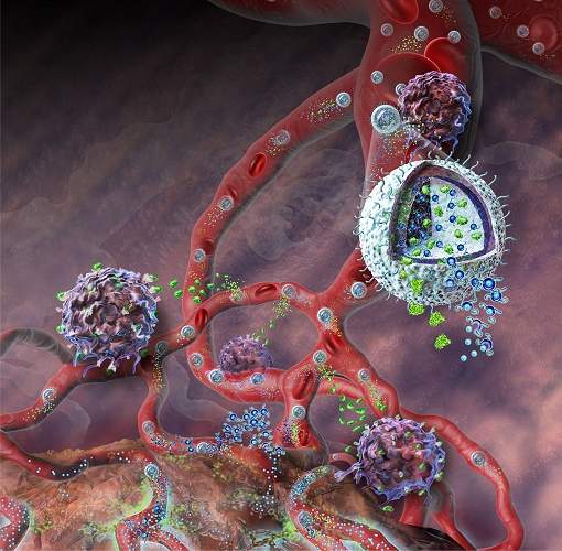 Nanotecnologia ataca câncer e reforça imunidade ao mesmo tempo