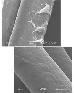 Nanopartculas de produtos amaznicos do brilho aos cabelos