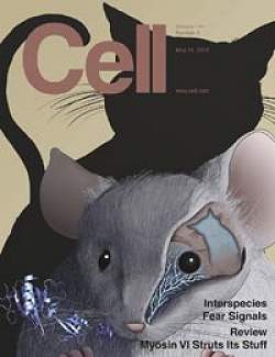 Neurnios nas narinas detectam substncias que induzem ao medo