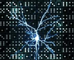 Neurnios individuais tm poder computacional