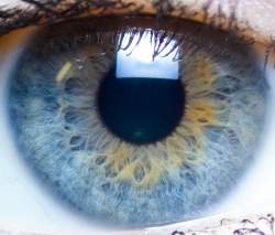 Ajuste da pupila  claridade no  movimento mecnico