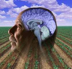 Nova provas da ligao entre pesticidas e Mal de Parkinson