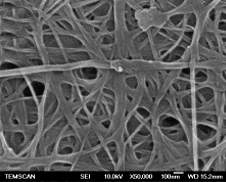 Pele artificial  desenvolvida por cientistas brasileiros