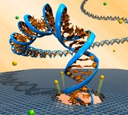 Sequenciamento eletrnico do DNA vira realidade graas ao grafeno