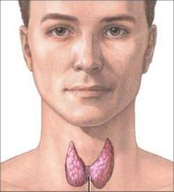 Terapia para tratamento do bcio dispensa cirurgia