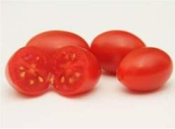 Tomate antioxidante pode ajudar na preveno de doenas degenerativas
