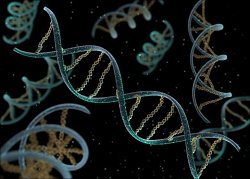 Receita completa de vrus est gravada no DNA humano