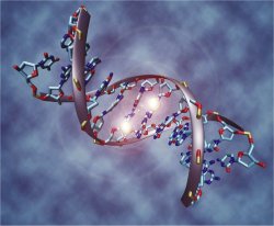 Cientistas têm associado incorretamente mutações genéticas com câncer, alerta pesquisador