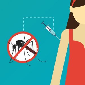 Vacina contra Aedes aegypti pode prevenir contra zika, dengue e chikungunya