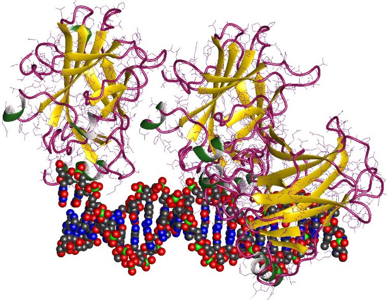 Biossensor detecta autoanticorpos antes que cncer aparea