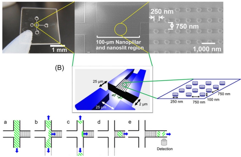 Biochip detecta biomarcadores de cncer na hora