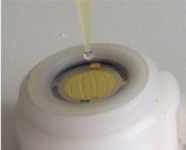 Chip brasileiro detecta vírus da dengue na hora