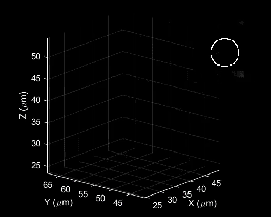Supercmera filma vrus atacando clula