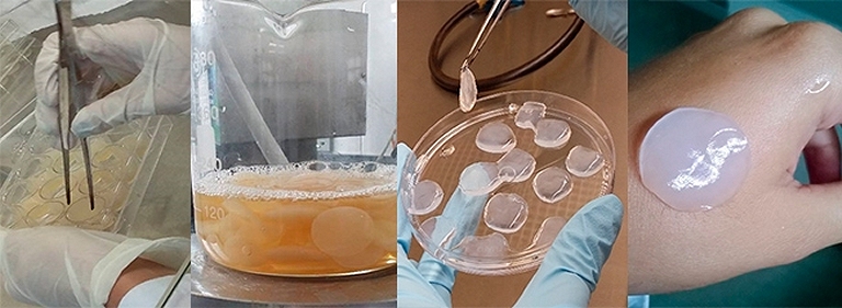 Curativo com alto poder cicatrizante  feito da protena do abacaxi