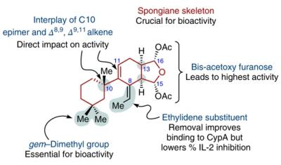 Nova sntese qumica acelera identificao de princpio ativo de produtos naturais