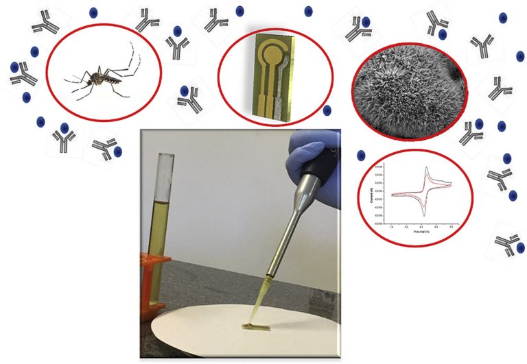 Biossensor nacional detecta zika sem confuso com dengue